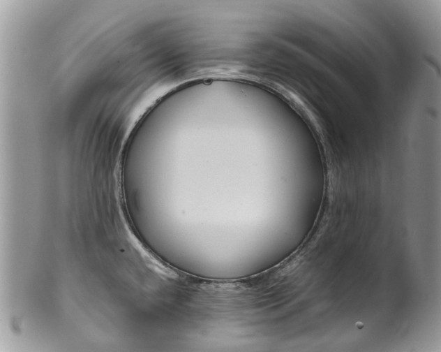 X0000099511432200806051136