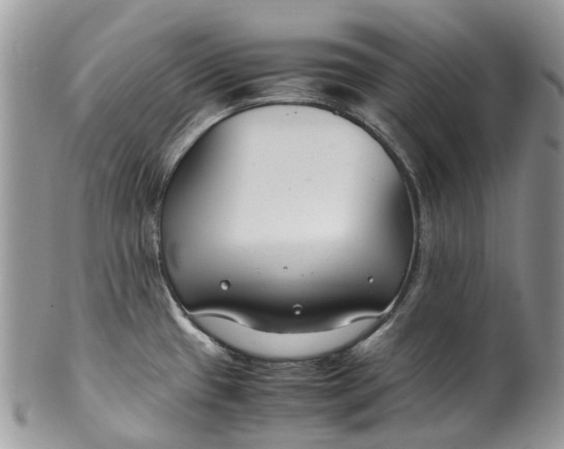 X0000099511433200806051136