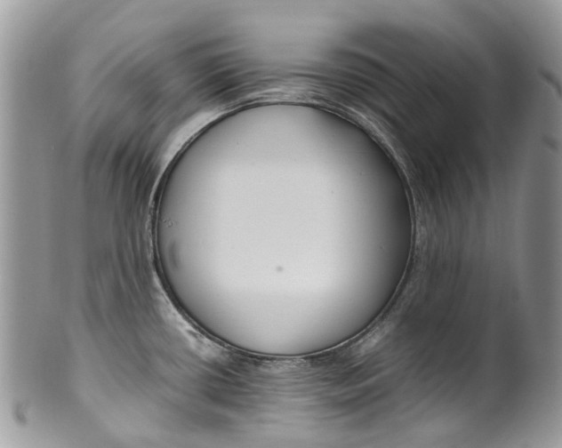 X0000099511434200806051136