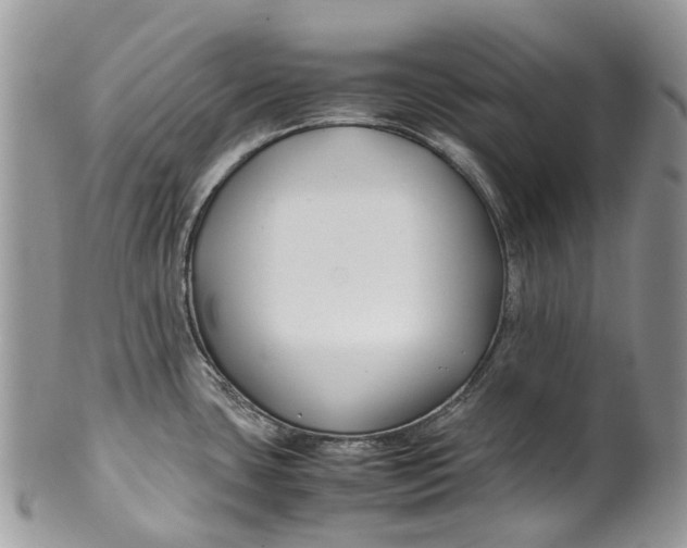 X0000099511435200806051136