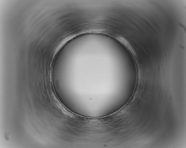 X0000099511436200806051136