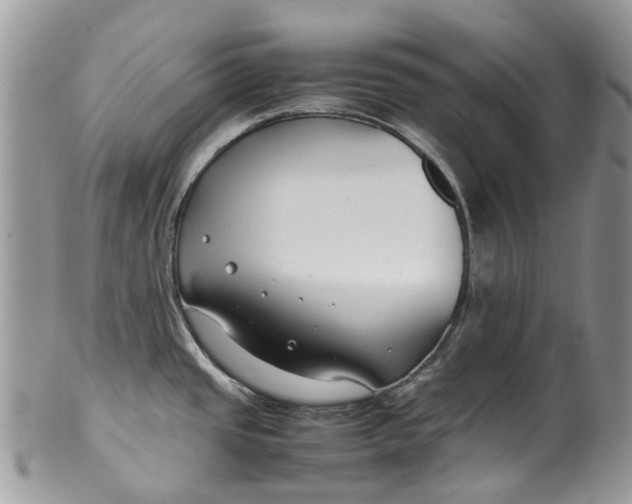 X0000099511437200806051136