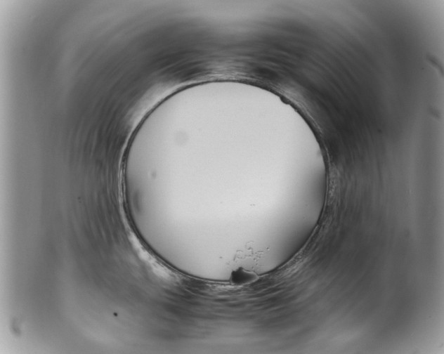 X0000099511439200806051136