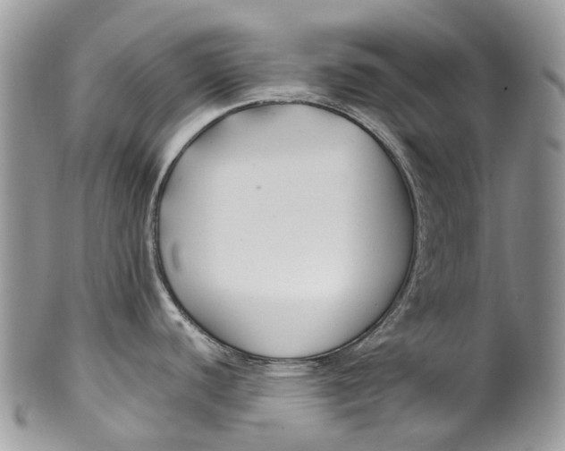 X0000099511440200806051136