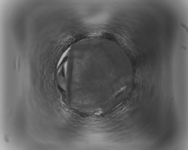 X0000099511441200806051135