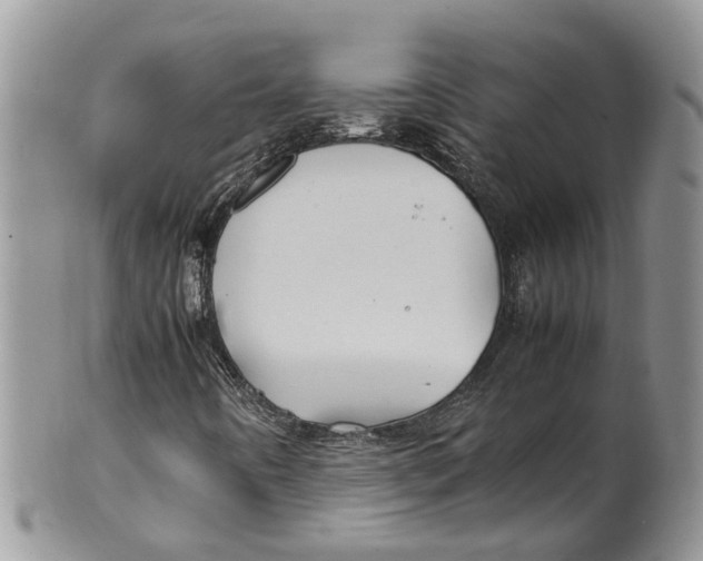 X0000099511442200806051135