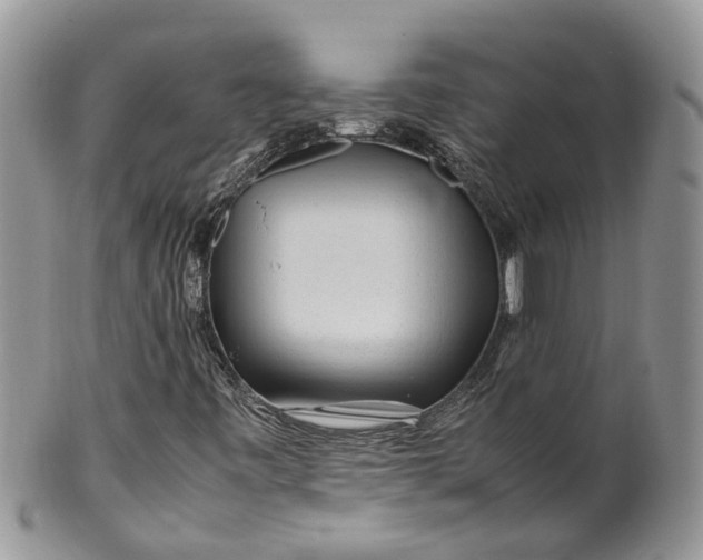 X0000099511443200806051135