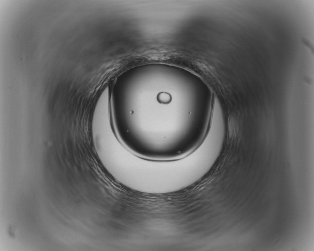 X0000099511444200806051135