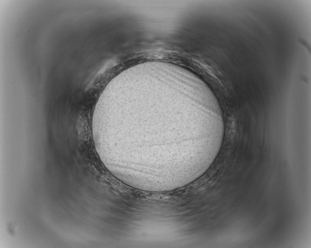 X0000099511446200806051135