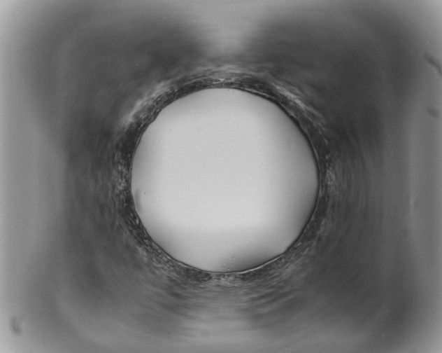 X0000099511447200806051135