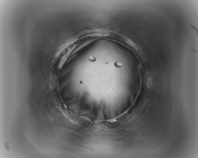 X0000099511448200806051135