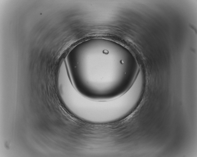 X0000099511449200806051135