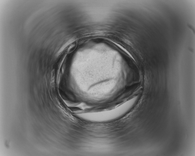 X0000099511450200806051135