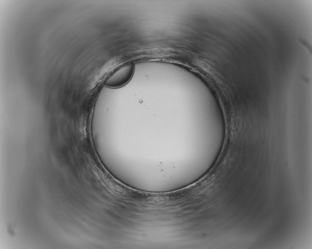 X0000099511451200806051135