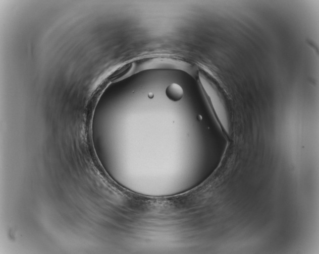 X0000099511452200806051135