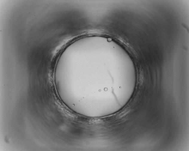 X0000099511454200806051135