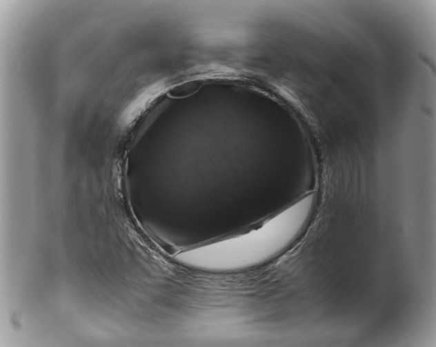 X0000099511455200806051135