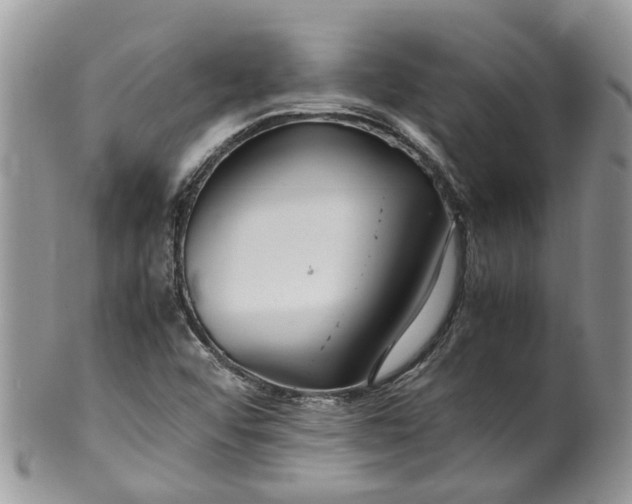 X0000099511456200806051135