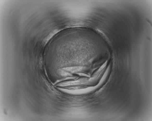 X0000099511457200806051135