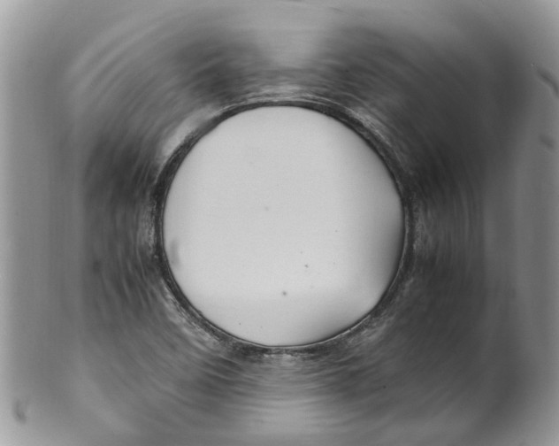 X0000099511458200806051135