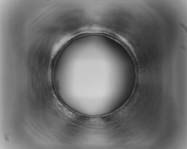 X0000099511464200806051135