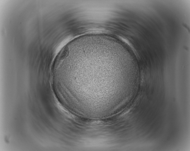 X0000099511467200806051135