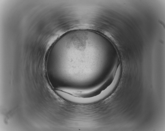 X0000099511469200806051135