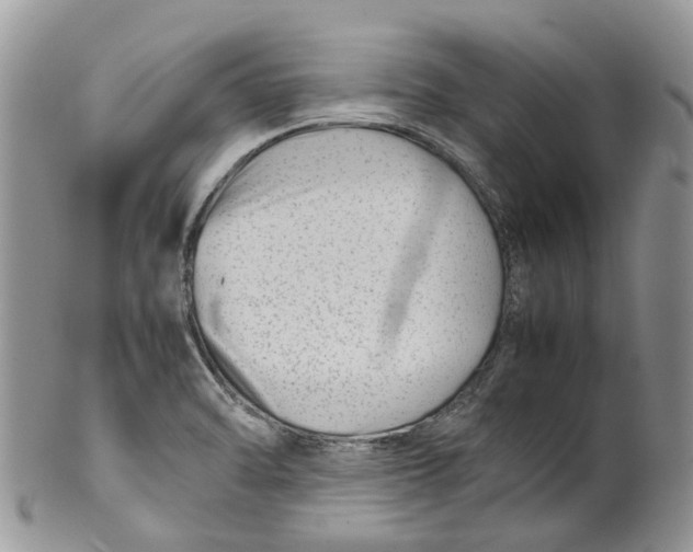 X0000099511470200806051135