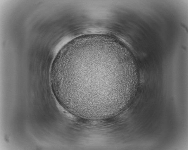 X0000099511471200806051135