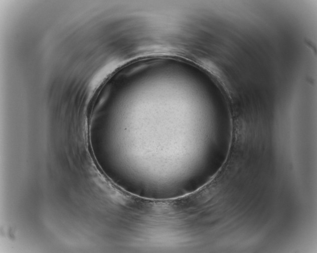 X0000099511472200806051135