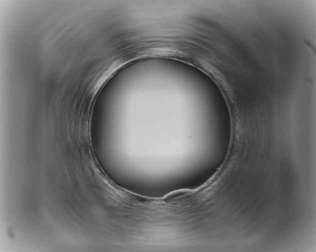 X0000099511473200806051135