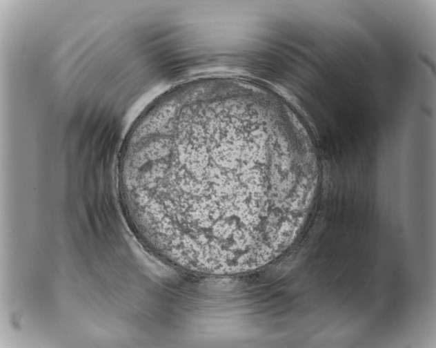 X0000099511474200806051135