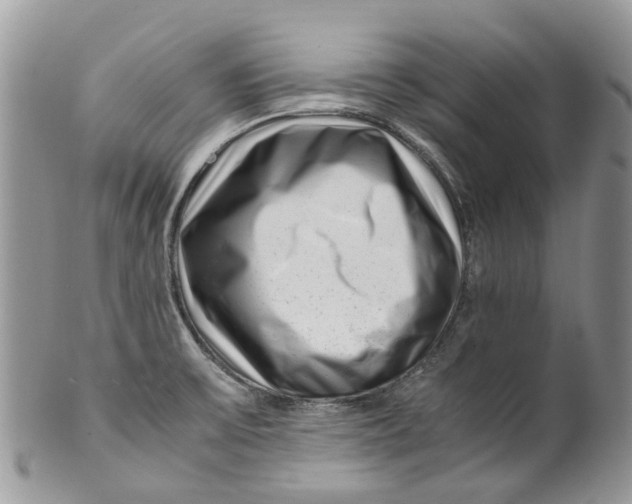 X0000099511475200806051135