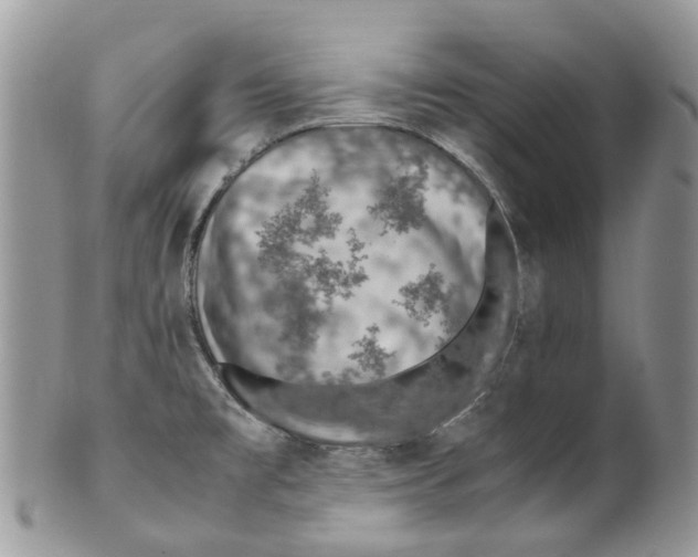 X0000099511477200806051135