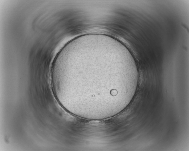 X0000099511478200806051135