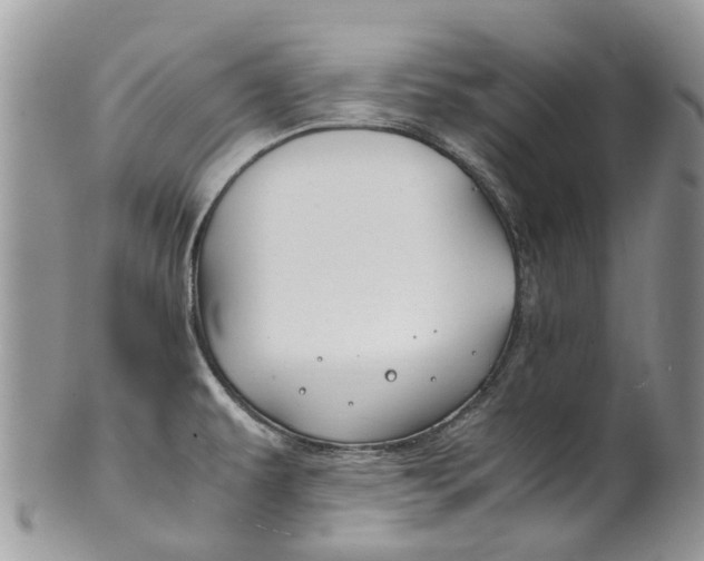 X0000099511479200806051135