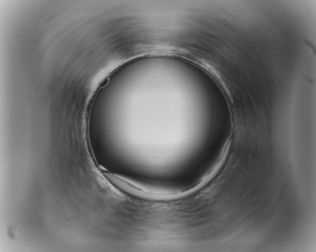 X0000099511480200806051135