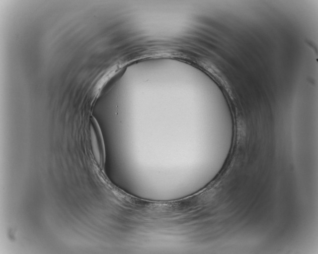 X0000099511481200806051135