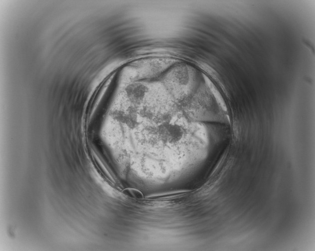 X0000099511482200806051135