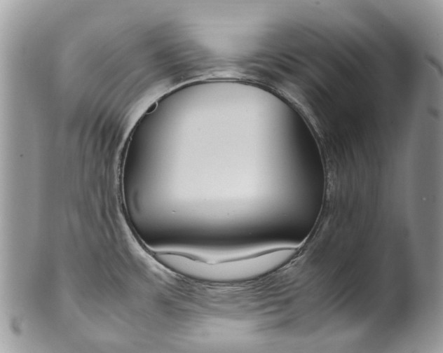 X0000099511483200806051135