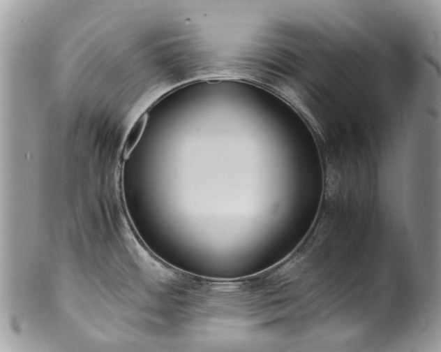 X0000099511484200806051135