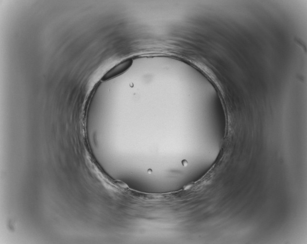 X0000099511485200806051135