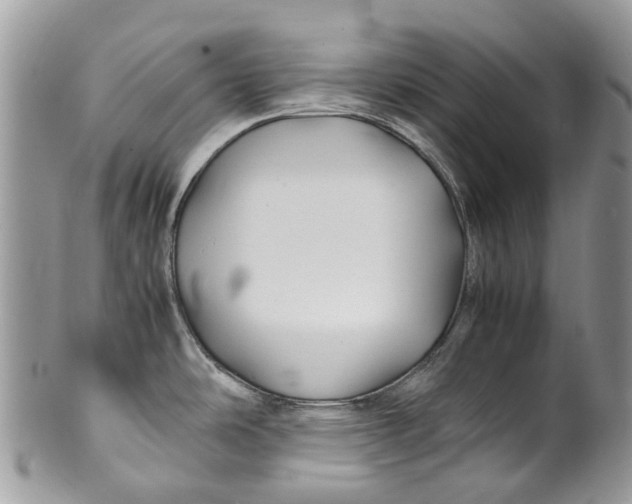 X0000099511486200806051135