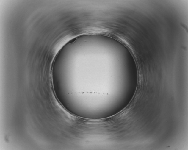 X0000099511487200806051135