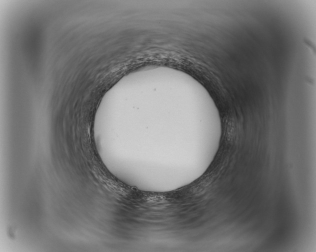 X0000099511489200806051134