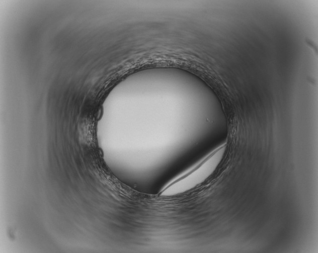 X0000099511490200806051134