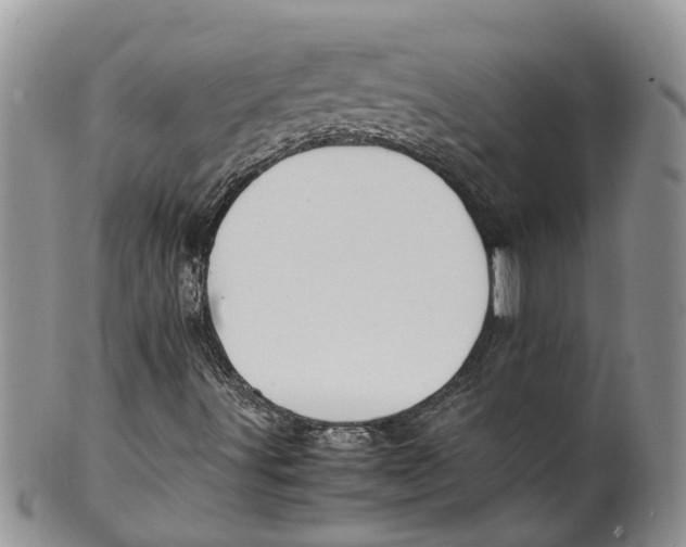 X0000099511491200806051134