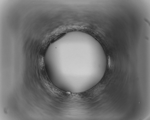 X0000099511492200806051134