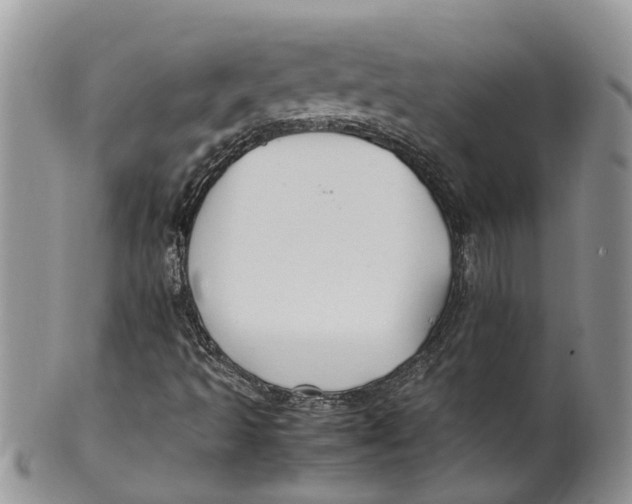 X0000099511493200806051134