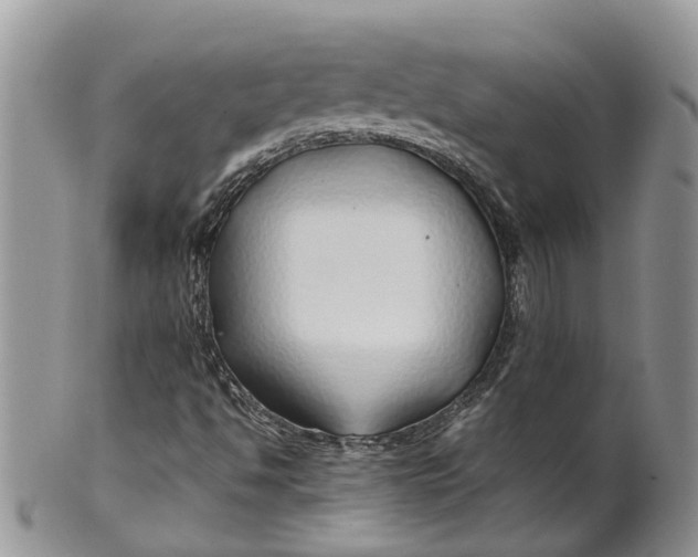 X0000099511494200806051134